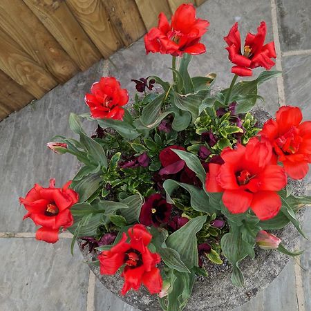 Rosegarth Bed And Breakfast Marton near Pickering Екстериор снимка