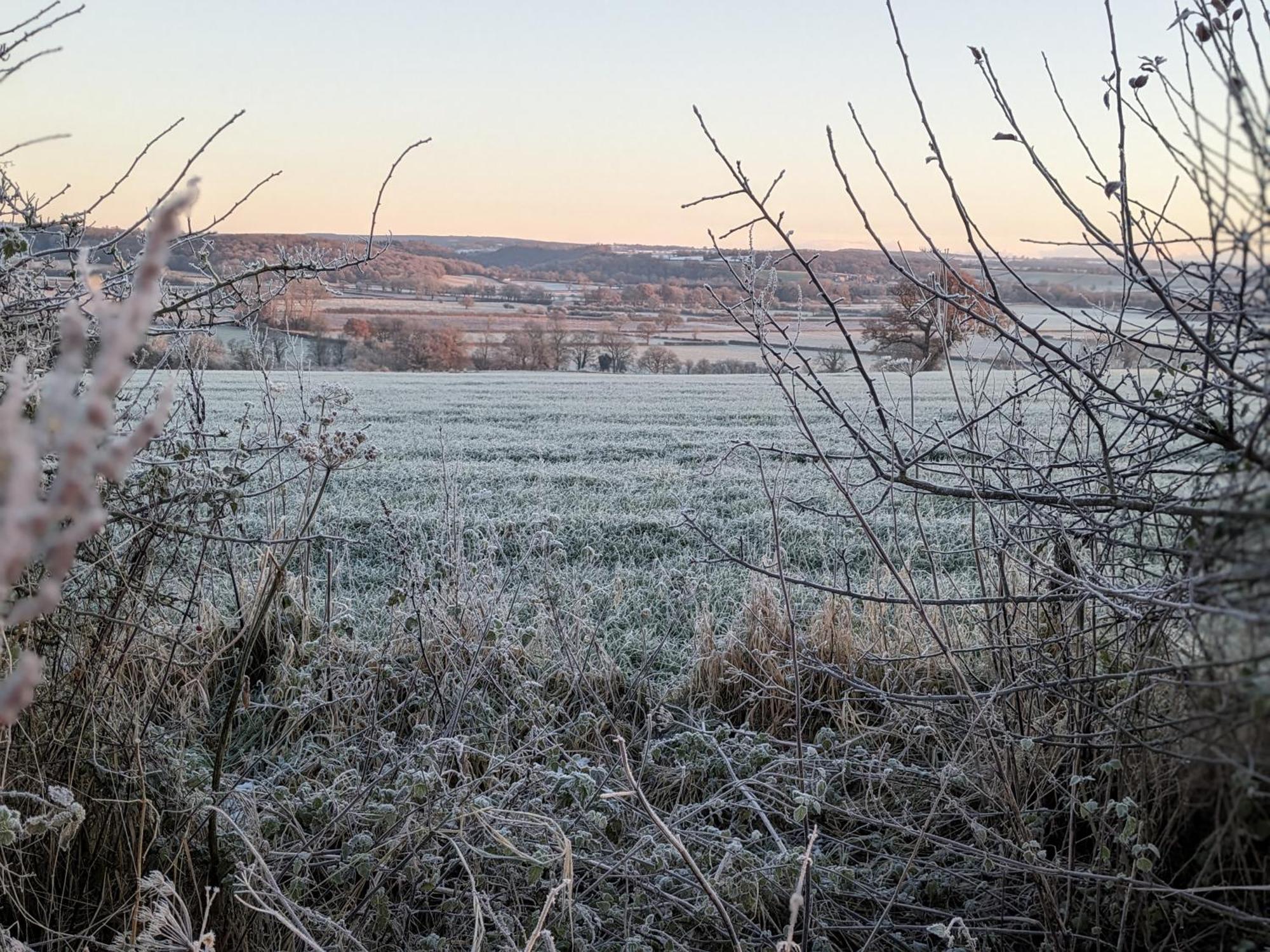Rosegarth Bed And Breakfast Marton near Pickering Екстериор снимка