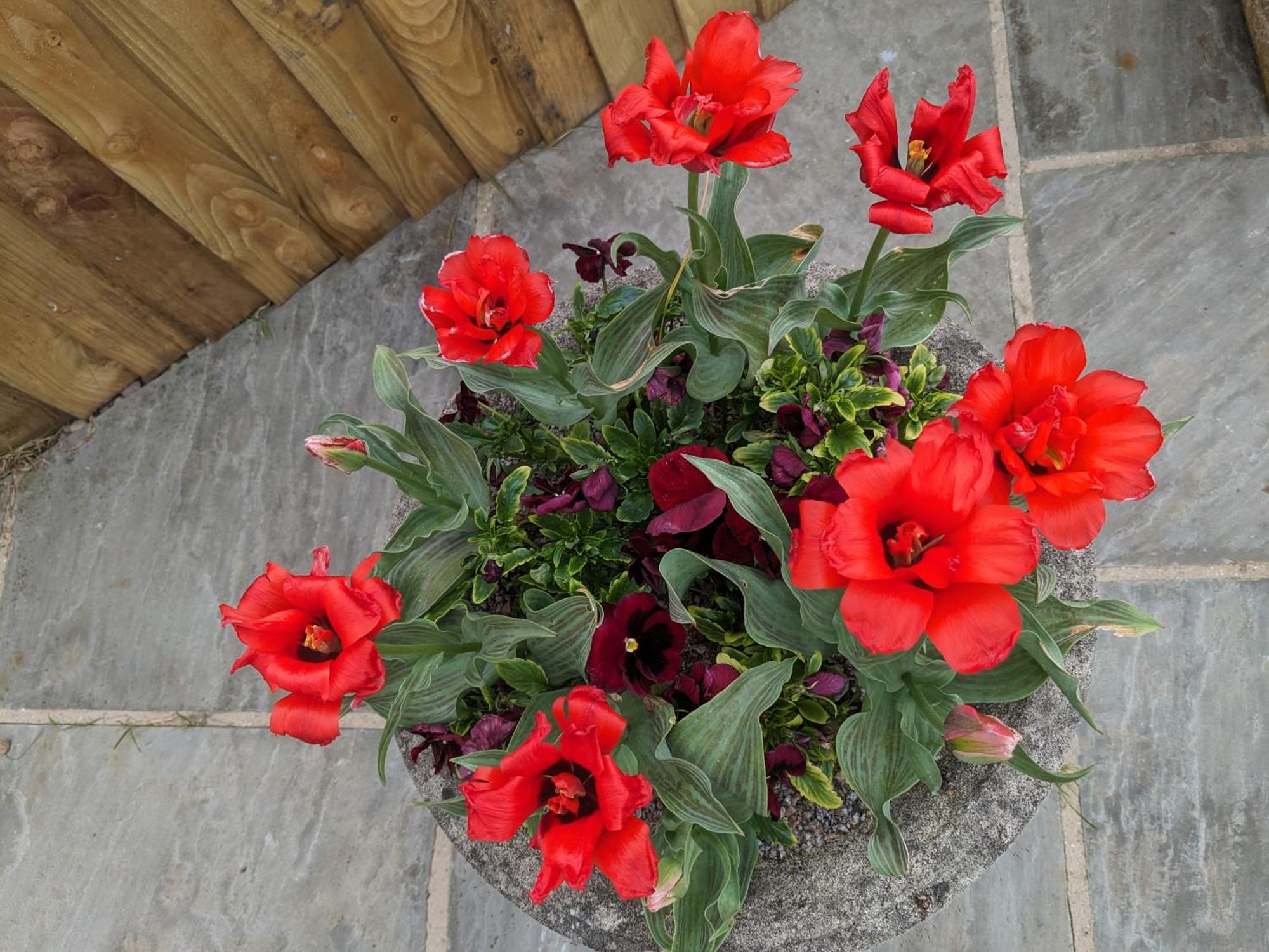 Rosegarth Bed And Breakfast Marton near Pickering Екстериор снимка